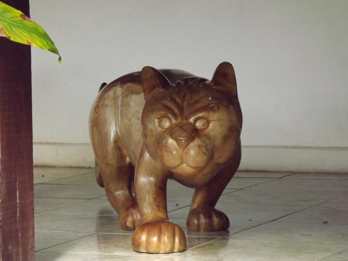 Pousada Catavento Saquarema Extérieur photo